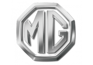 Mg Logo